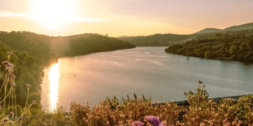 Jantares e provas de vinhos